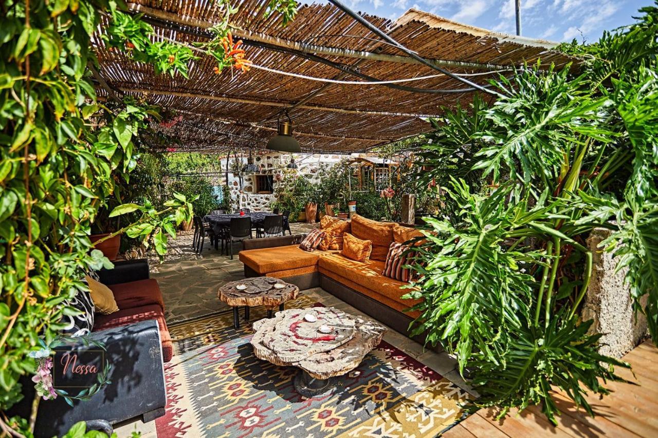 Finca Oasis Fataga Maspalomas  Exteriör bild